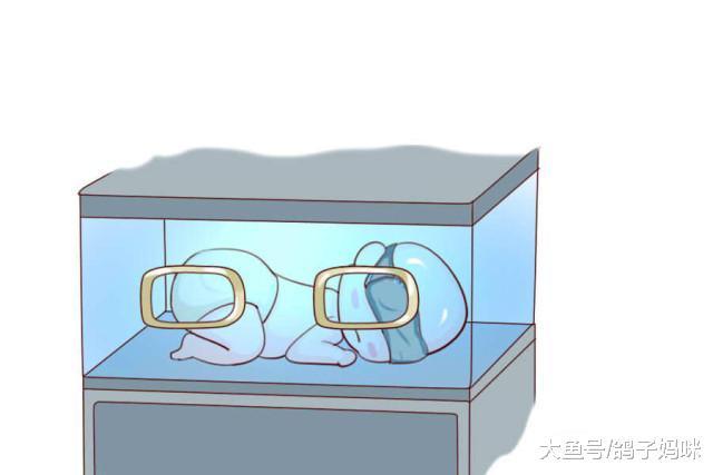 NICU惊魂记, 先心病并发肺炎! 宝宝的健康胜过一切!