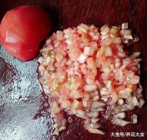 3道超级简单的菜, 造型秒杀满汉全席