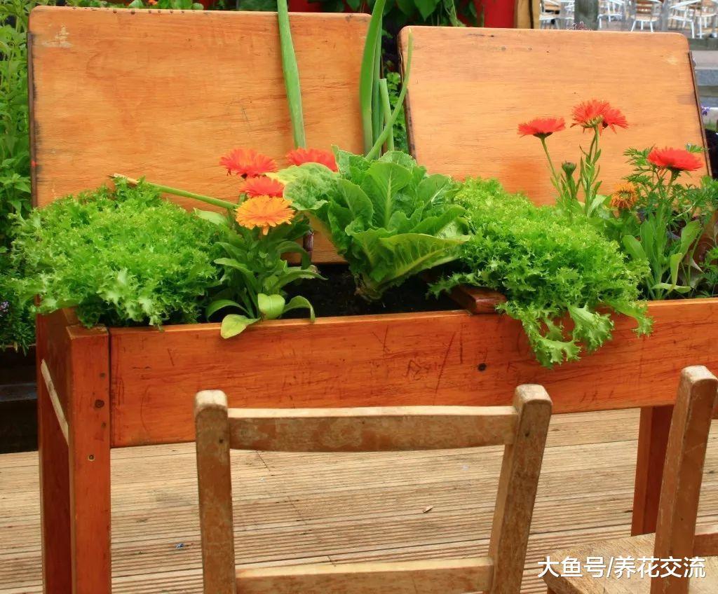 废弃的家具变成花卉的最佳容器, 9个乡村风格的花盆改造