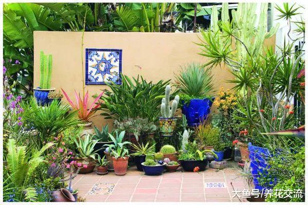 15个多肉植物室内、室外创意, 养出不同规模的多肉小花园