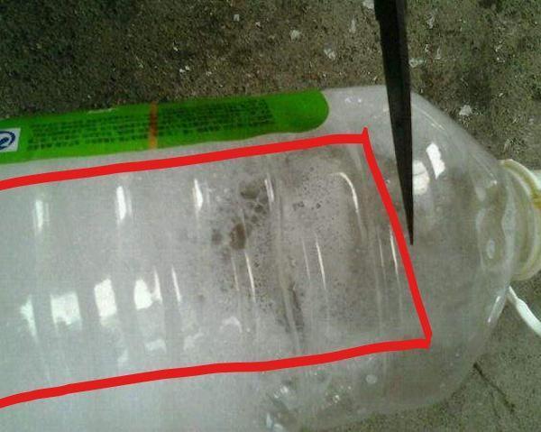 家里的空油桶别扔, 这样剪两刀, 呼啦啦就长出来一大片菜!