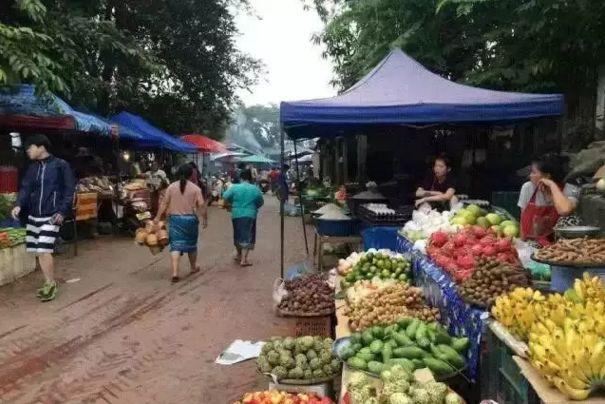 缅甸的菜市场, 国人去了估计都不知道该买啥!