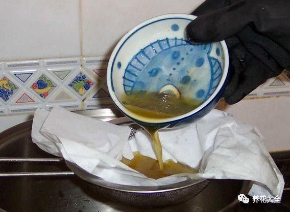 清理油烟机时候, 废油一定不能倒, 这可是养花的好肥料!