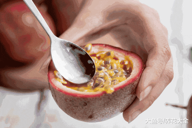百香果自家阳台就能种, 一分钱不用花, 比买的还好吃!
