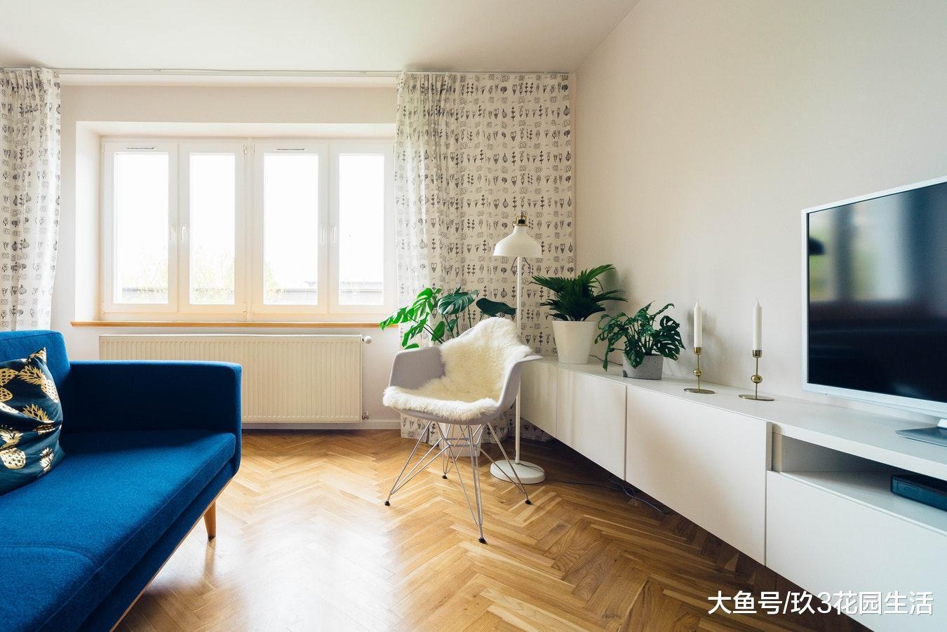 家居养花的好处多多, 总有办法“睡”服你