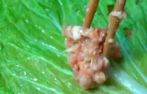 白菜新吃法, 包你看完就会, 吃多少也吃不腻!