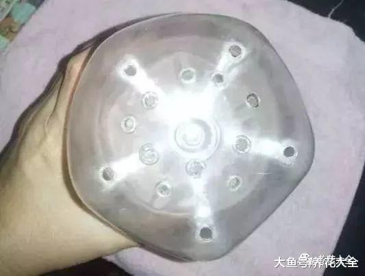 豆芽不用买, 1个可乐瓶就能做出来, 绿色又美味