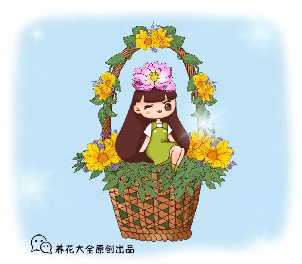 1月1盆花别乱养, 生日在几月, 就得养什么花!