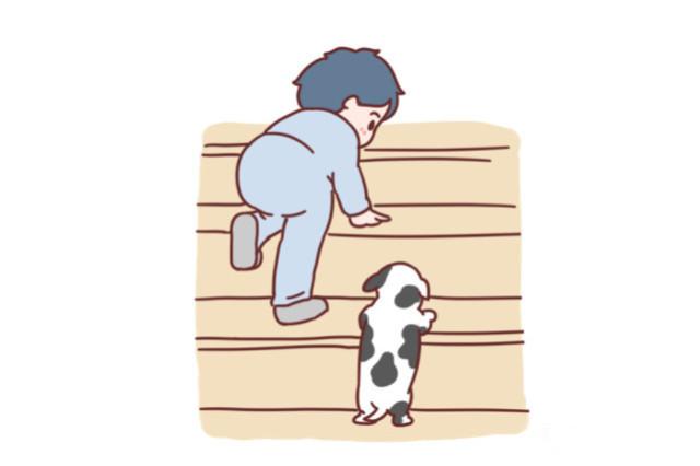 “我家狗不咬人”, 孩子眼睛险些失明!