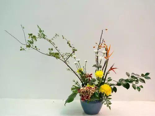 生活已经这么艰难了, 怎么用鲜花将生活布置的更有仪式感呢?