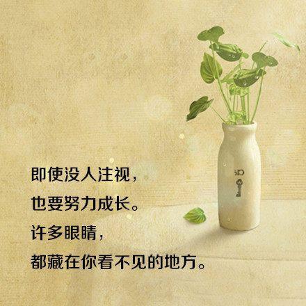 正能量的句子经典语句, 句句窝心, 拿去发朋友圈