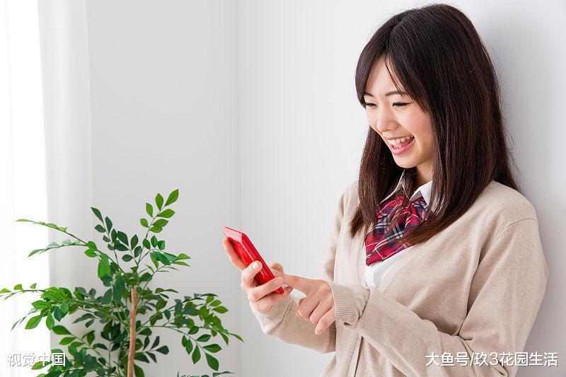 春季植物换盆需要注意的那些事儿