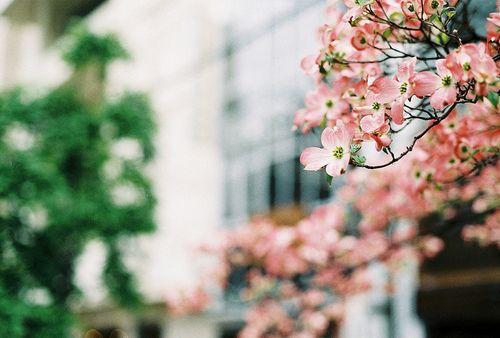 只是因为太年轻, 你还没懂得欣赏这十句话!