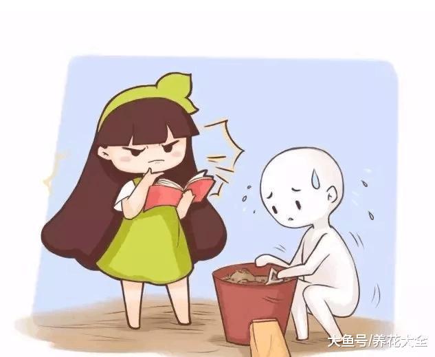 土里加点它, 叶子绿的滴油, 花开100朵, 养啥都爆盆!