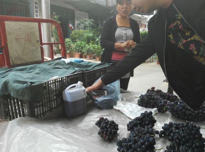 大姐卖葡萄, 一车葡萄被一扫而光, 这创意太赞了!
