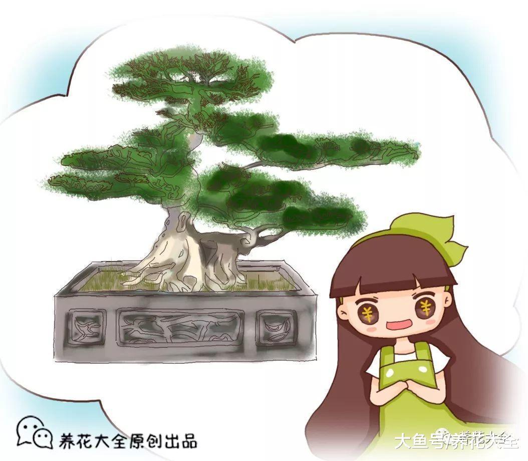 路边捡的树桩, 养了1个月, 没想到还能卖钱