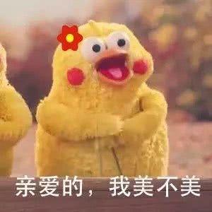 男生有了女票后只关心一件事。
