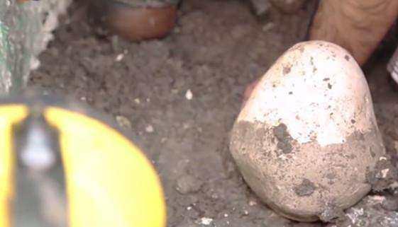 男子地窖发现石灰包裹的硬物, 砸开后, 里面的东西让他高兴坏了!