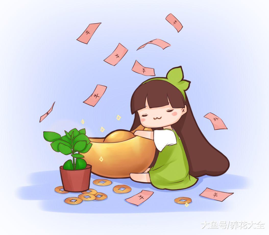 新年讨个好彩头, 寓意吉祥的10种花这么养, 明年财运旺一年!