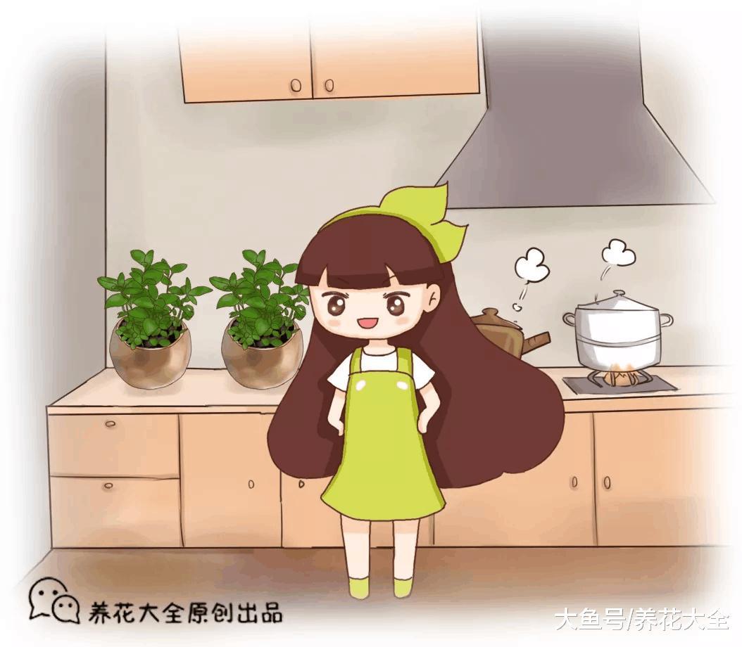 4种性价比超高的花, 不但能赏花还能泡水喝!