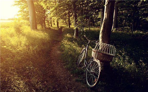 听从直觉, 这十句话对你有用!