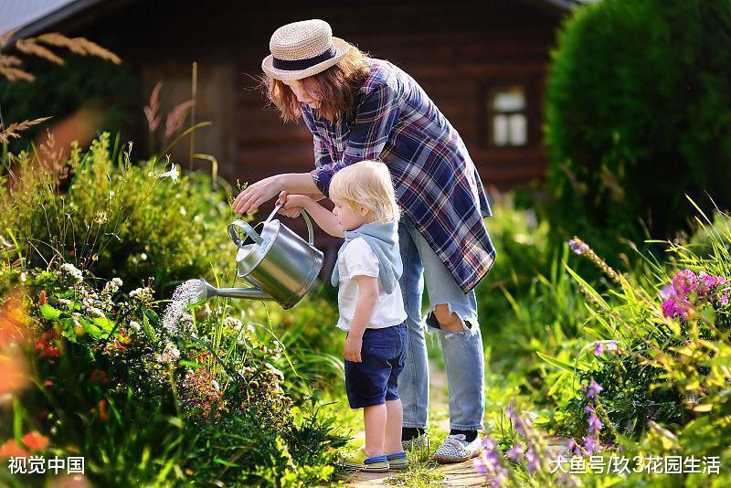 小庭院养花需要注意的3个小技巧