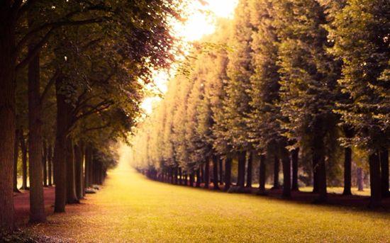 这十句话, 感染在你我!