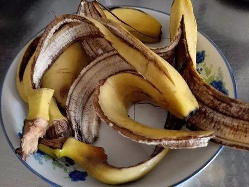 速效无臭肥, 5分钟搞定, 撒盆里3天冒芽, 20天就爆盆!