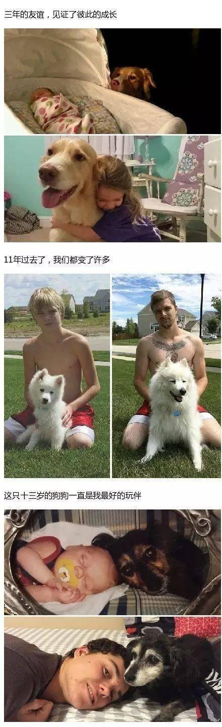 看完不许哭, 他们不过是换了一种方式陪伴着我们