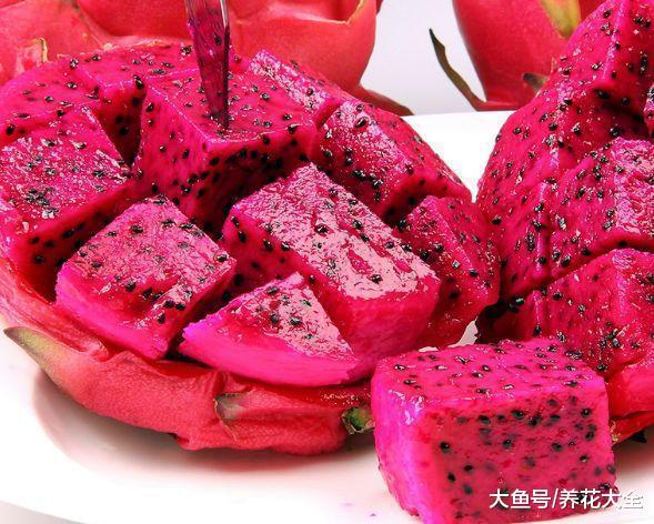 路边剪个枝, 插土里就活, 结果超多