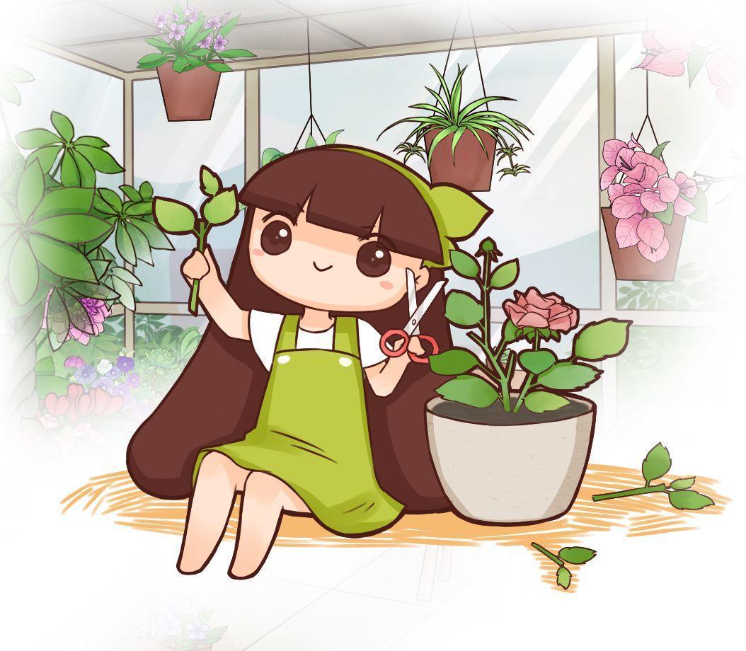 这花千万别花钱买, 剪个枝来扦插