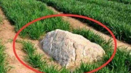 奇怪! 只有60厘米高也被称作山