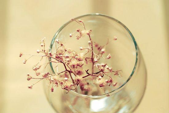 经历了也么多, 终于相信这十句话了