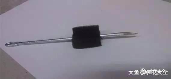 月季扦插方法大全, 只要学会一种, 就不怕没花养!