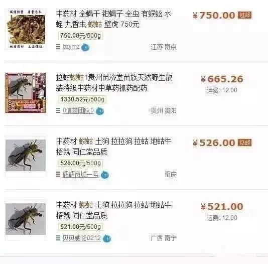 小时候玩腻的东西, 如今变身成城里人最爱, 千金难求!