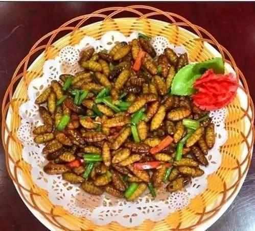 农村人从来都不吃的东西, 在城里的饭店里卖到了好价