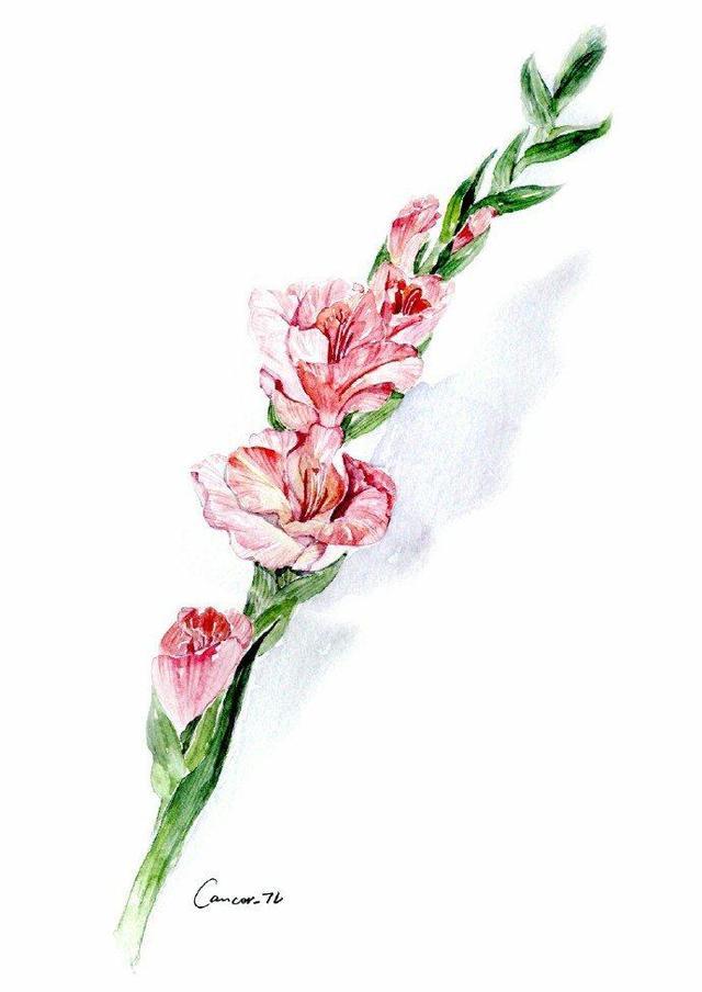 过目不忘的句子, 句句是哲理(深度好文)