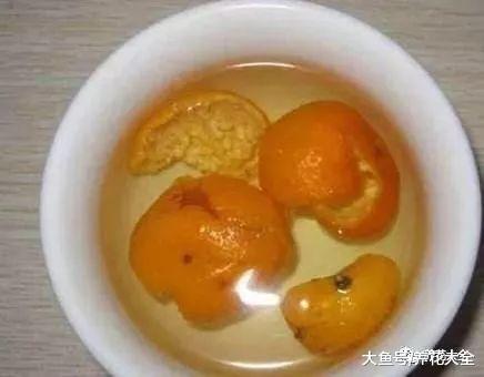 给花浇点废水, 不用施肥也呼呼长, 现在才知道!
