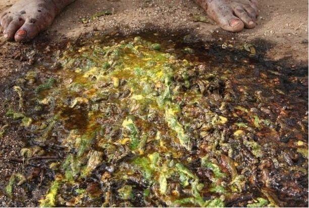 这个地方因为贫穷只能吃这个为生, 游客看到的第一眼就吐了!