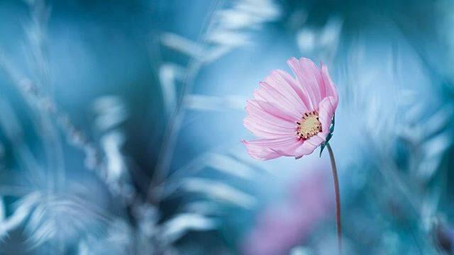 请珍惜愿意为你生孩子的女人, 勇敢如你!