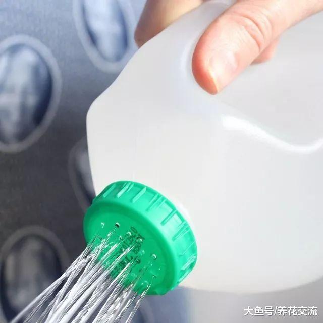 厨房里的剩菜残羹和厨余垃圾变成养花肥料, 这11个方法太实用了