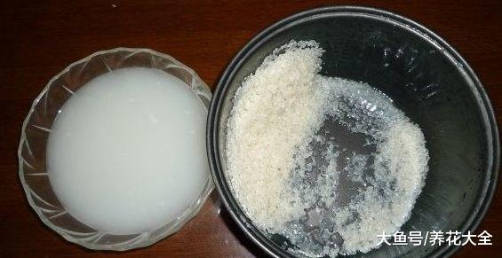 奶粉酸奶大豆油, 这些东西越过期, 养花越好使