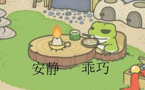 想通过养蛙体验养娃的感觉? 太天真了, 养蛙连新手教学都算不上