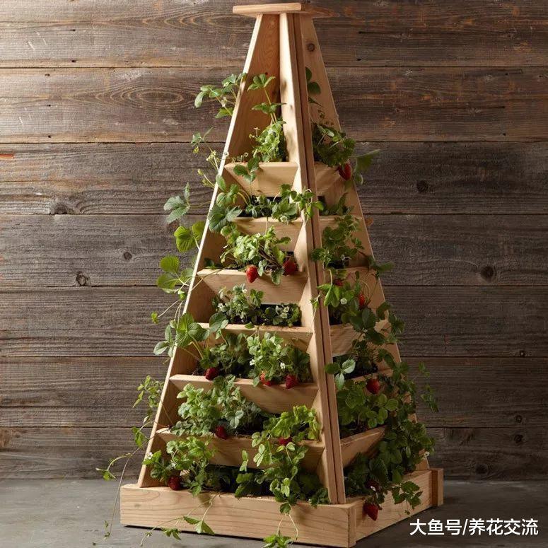 10个家庭养花创意, 将花卉植物种在墙上, 没有空间也能养出花园