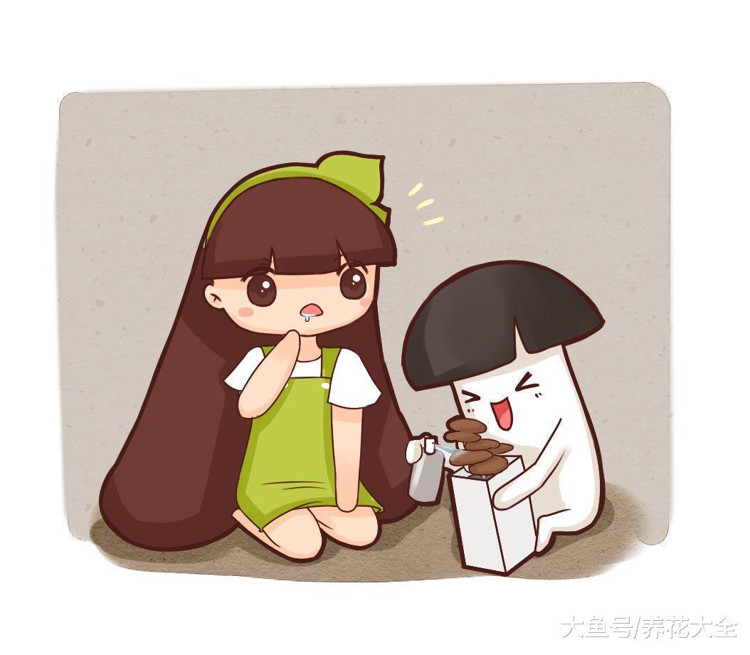 全国人民都在种蘑菇盆景, 好看又好吃, 家里来客人都围着看!
