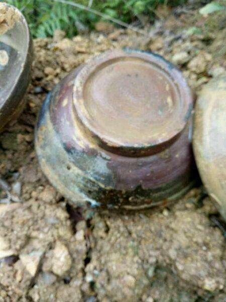 小伙野外探险, 挖出无数宝贝, 最后无偿捐献博物馆
