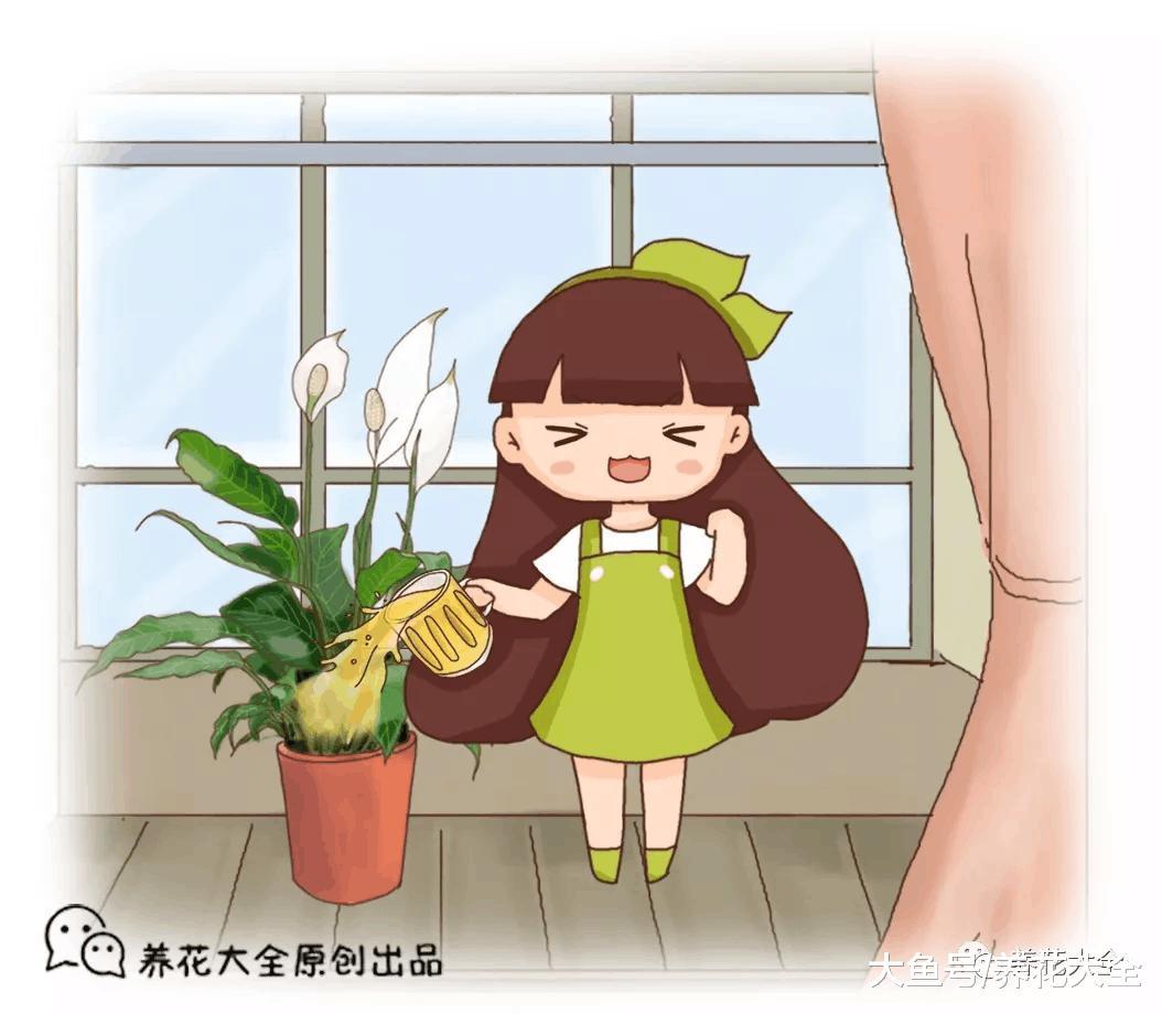 喝剩的啤酒别乱扔, 用来浇花能当肥!