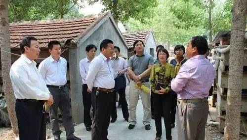 行情转向！东北玉米终于又涨了！