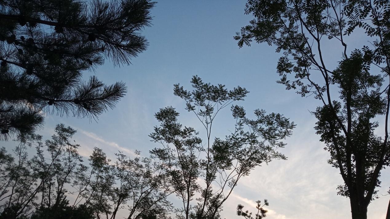 原创：这样站成都市至美的风景线,不必为逆境落泪︱玲点阅读