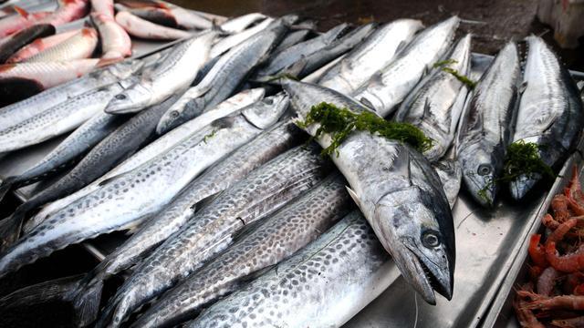 春天“最美味”的海鲜，遇到这“4种”别错过